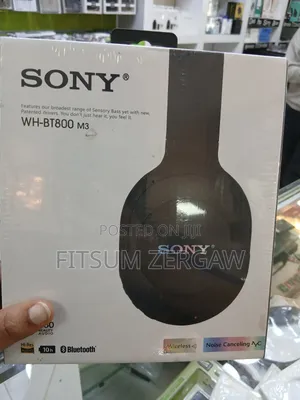 Sony Headset