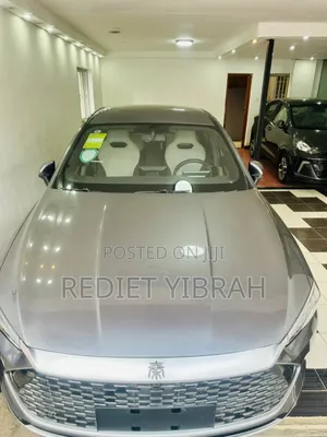 New BYD Qin Plus DM-i 2024 Gray