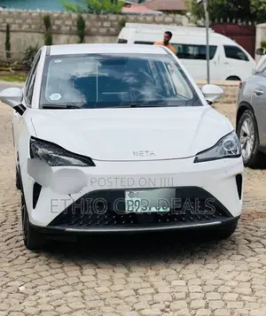 Hozon Neta Aya 2024 White