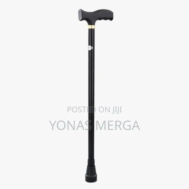 Walking Stick Common Prescribed Physiotherapy Clinical Practice Elder