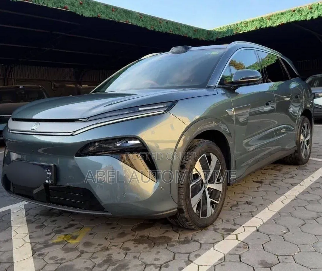 BYD Tang EV 2025 Gray
