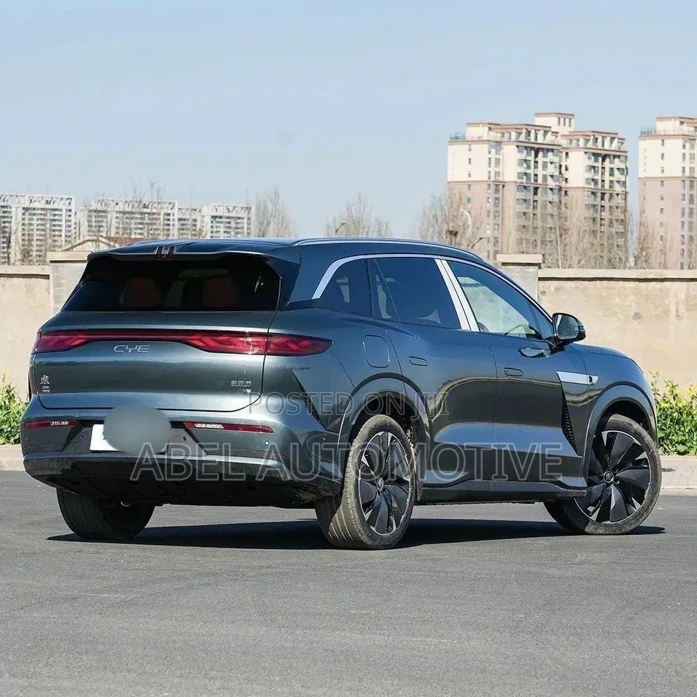 BYD Tang EV 2025 Gray