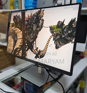 Dell Monitore