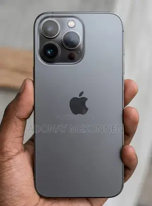 Apple iPhone 13 Pro 256 GB Gray