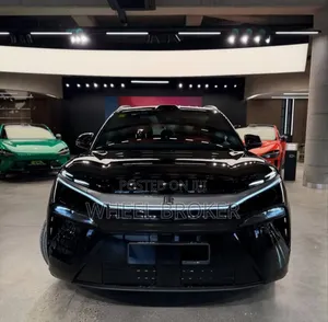 New BYD Tang EV 2025 Black