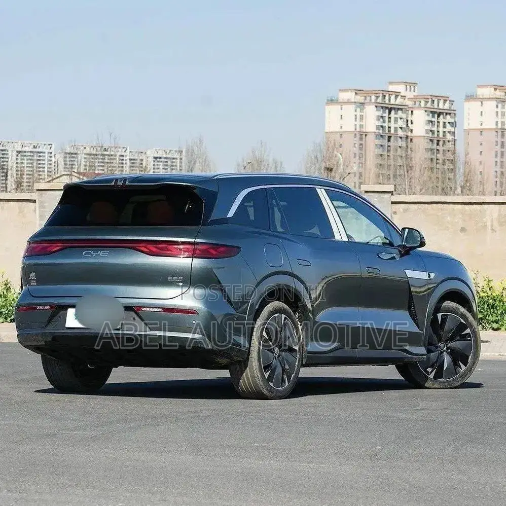 BYD Tang EV 2025 Gray