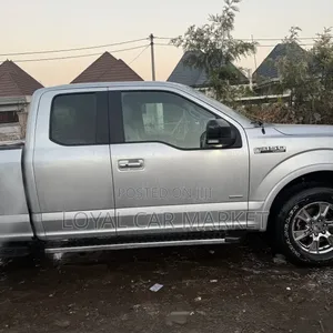 Ford F-150 2016 Gray