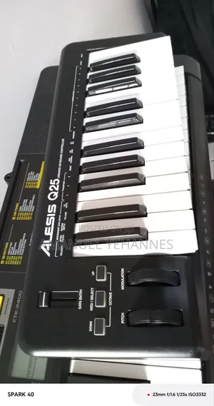 Alesis Q25 Midi Keyboard Piano