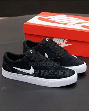 Nike Sb Shoes