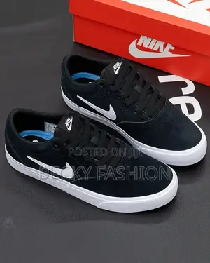 Nike Sb Shoes