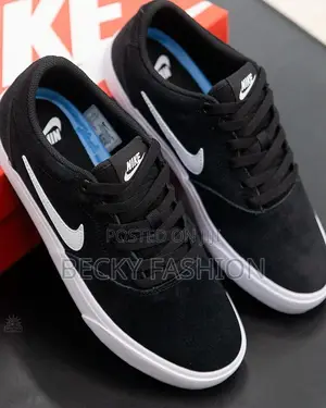 Nike Sb Shoes