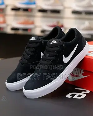 Nike Sb Shoes
