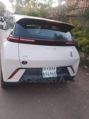 New BYD E2 43 kWh 94 hp FWD 2025 White