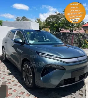 BYD Tang DM-i 2025 Gray