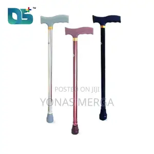 Cane. A Stick着力 or Short Staff Used to Assist One in Walking;