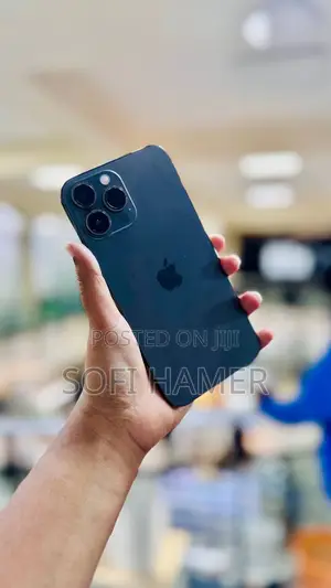 Apple iPhone 13 Pro Max 256 GB Gray