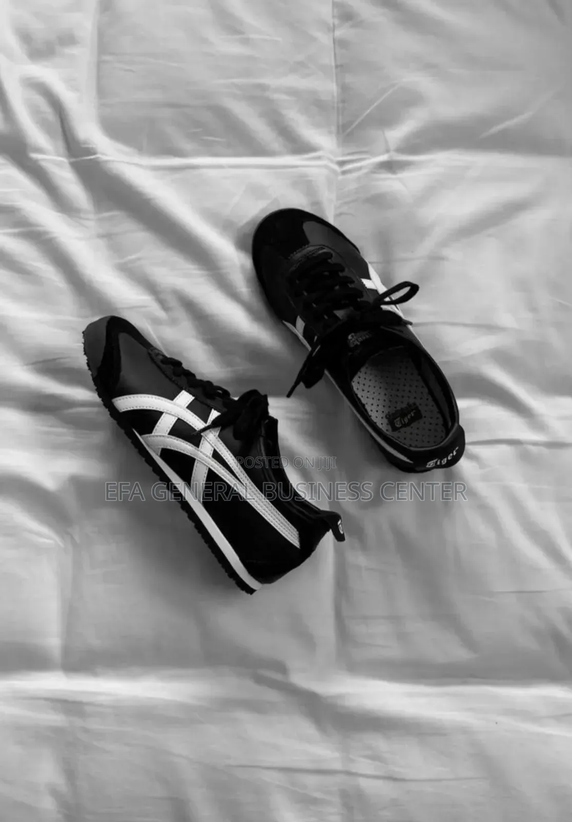 Tiger Mexico Black