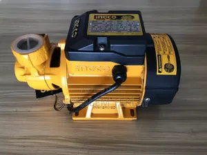 Ingco Water Pump