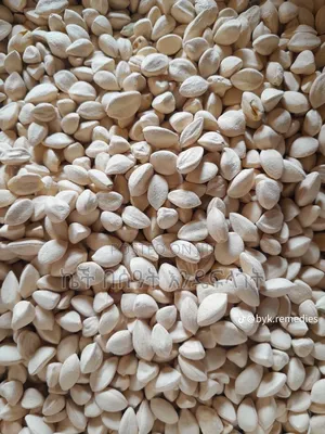 Moringa Seed