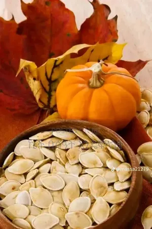 Pumpkin Seed ( ጥሬ እና የተቆላ)