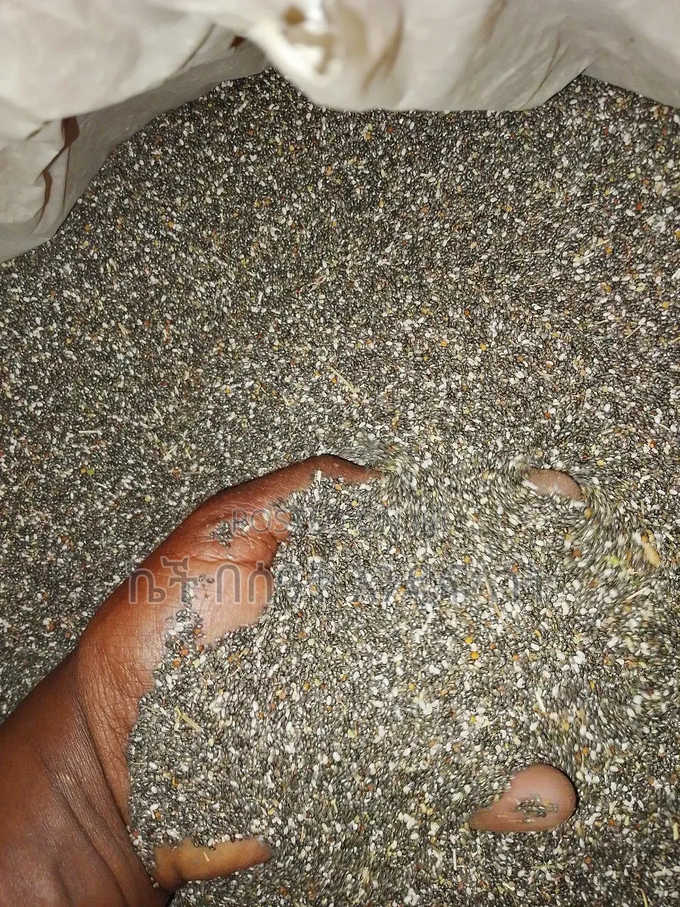 Chia Seed Supply