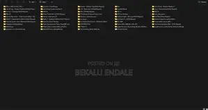 40+Games for Pc Downloaded