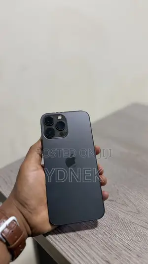 Apple iPhone 13 Pro Max 128 GB Gray