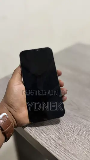 Apple iPhone 13 Pro Max 128 GB Gray