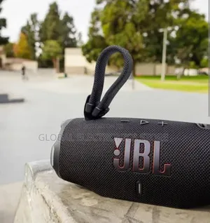 Portable JBL Speaker for Outdoor Party