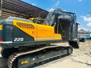 Hyundai 220 Series Crawler Excavator