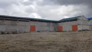 ግዙፍ የመጋዘን ሽያጭ ደብረ ብርሃን/ Big Warehouse Sale Debrebrehan Industrial /