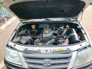 Tata Xenon 2008 Silver