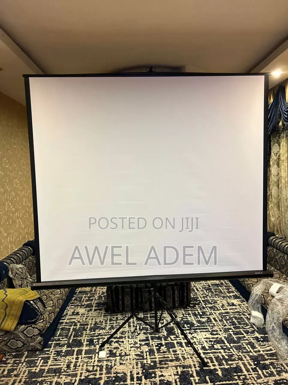 Projector Screen With Stand