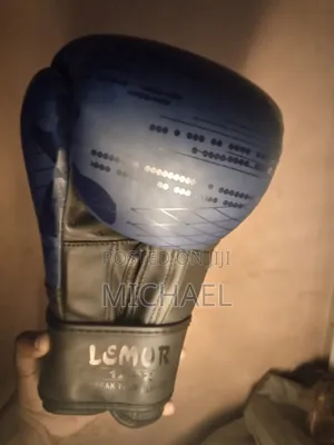 Boxing Glove Spall 12 Oz on Good Quality