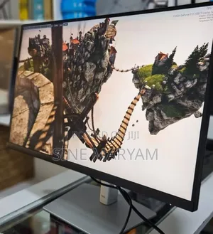 Dell Monitor
