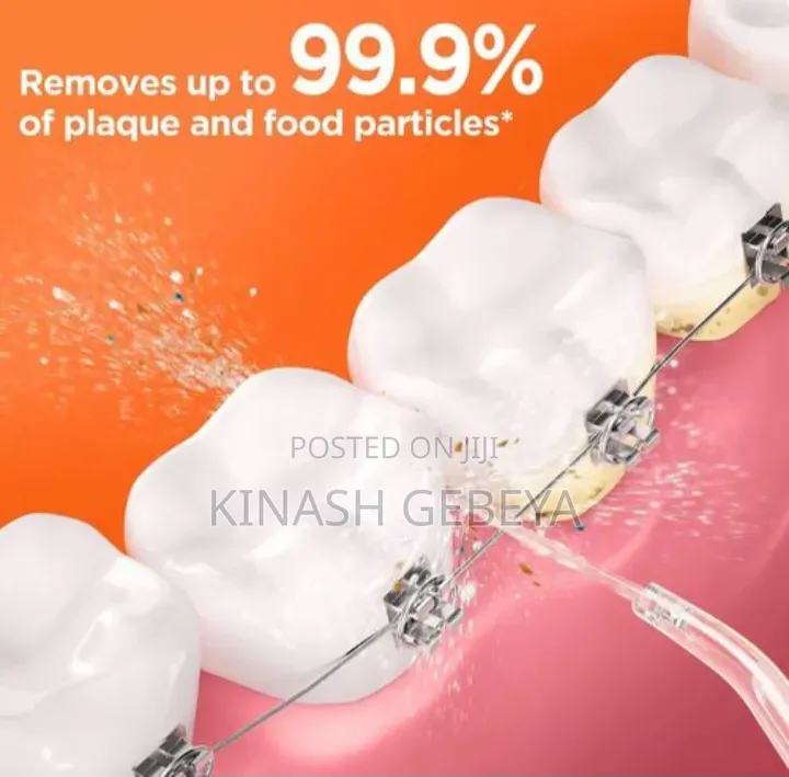 Bitvae High Quality Oral Teeth Flosser