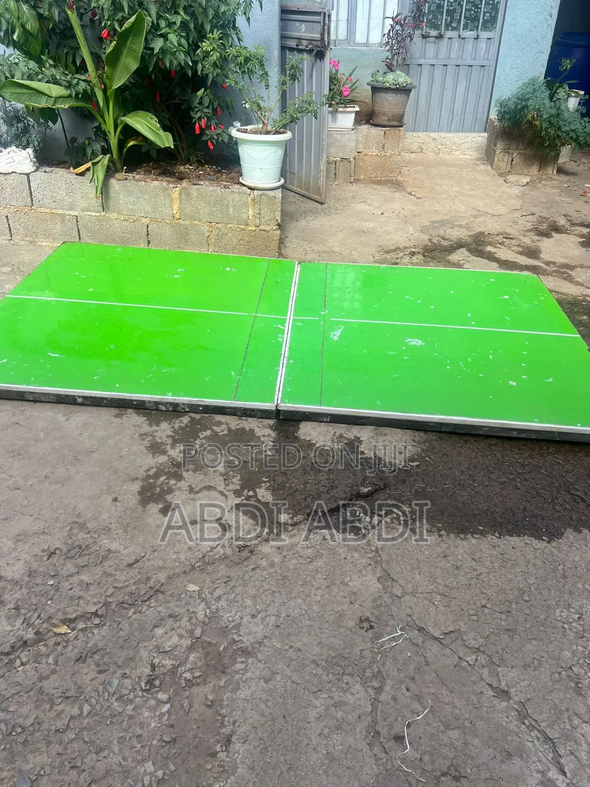 Table Tennis