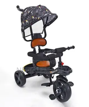 Kids Tricycle With Umbrella