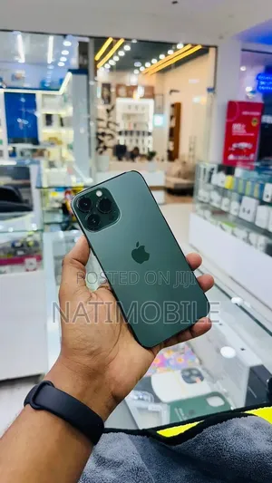 Apple iPhone 13 Pro Max 256 GB Gray