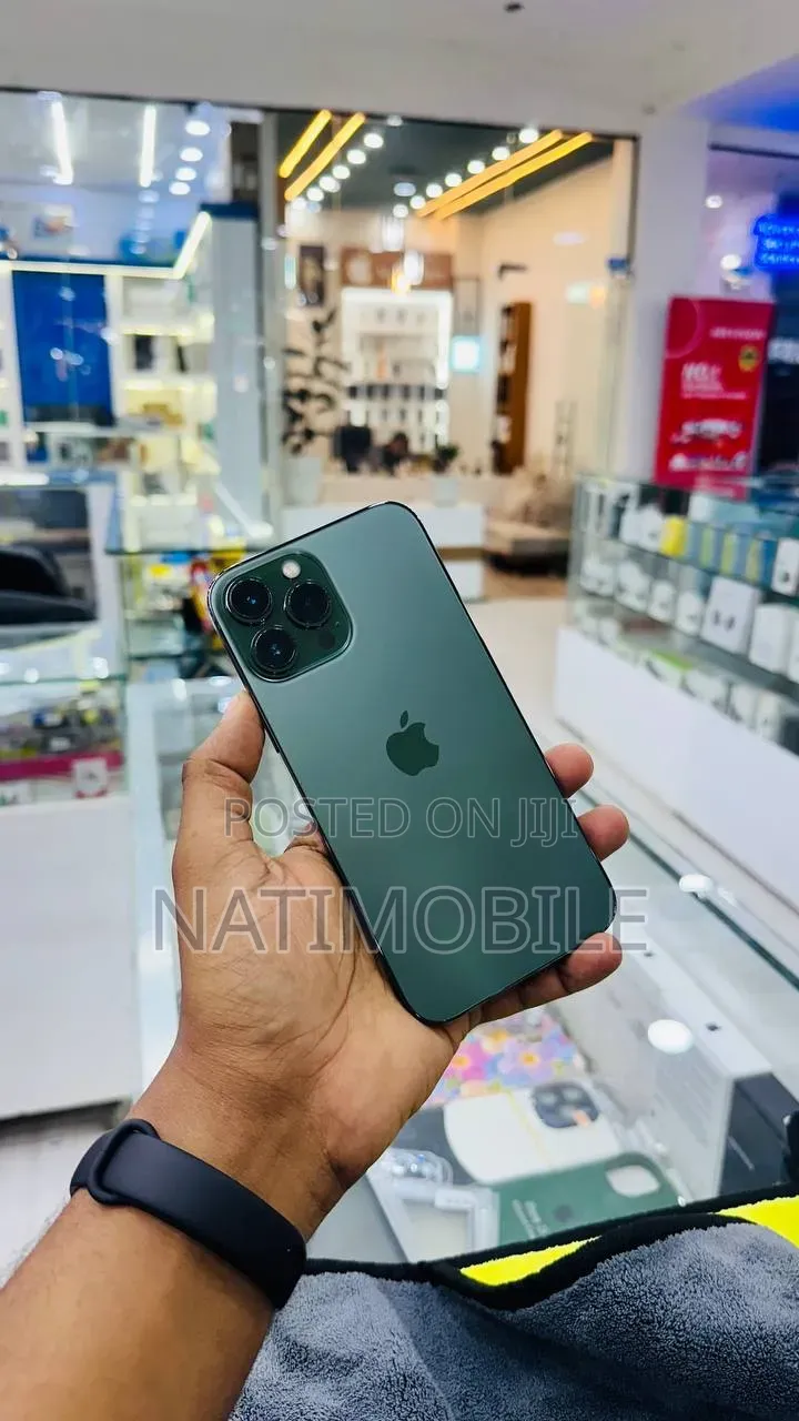 Apple iPhone 13 Pro Max 256 GB Gray