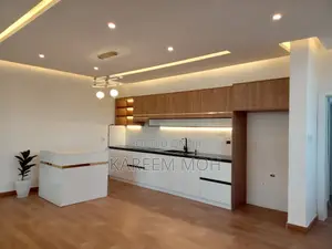 Luxurious Open Kitchen