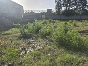 አስቸካይ የሚሸጥ ባቴ