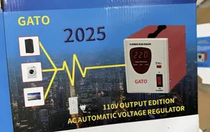 Gato 2025 Model