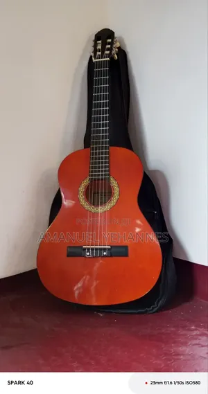 Sheffield Classical Acoustic Guitar