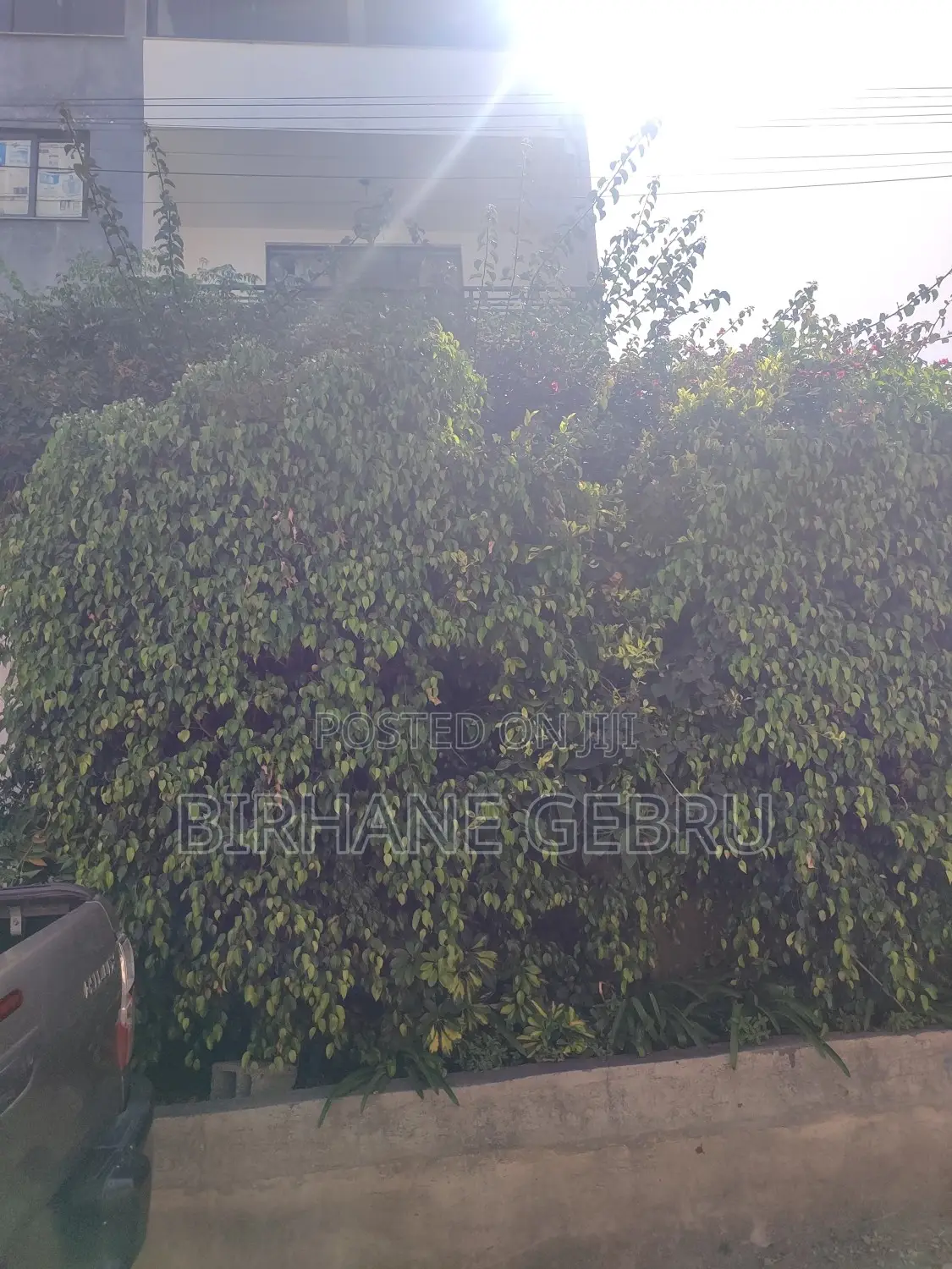 7bdrm House in G+2 House, Bole for rent