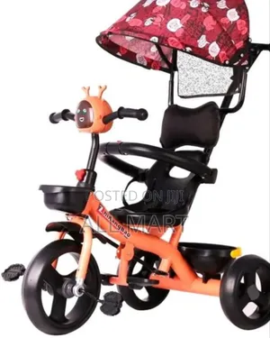 Kids Tricycle With Umbrella