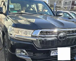 Toyota Land Cruiser 2012 Gray