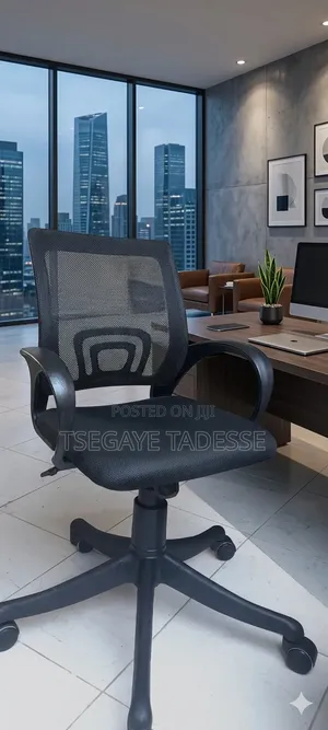 Mini Office and Study Chair
