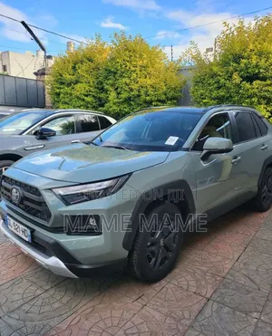 Toyota RAV4 Hybrid 2022 Gray