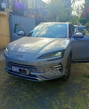 New BYD Song Plus DM-i 2024 Gray